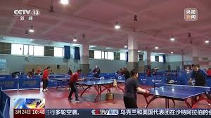 bsport体育官网 家用乒乓球台一体